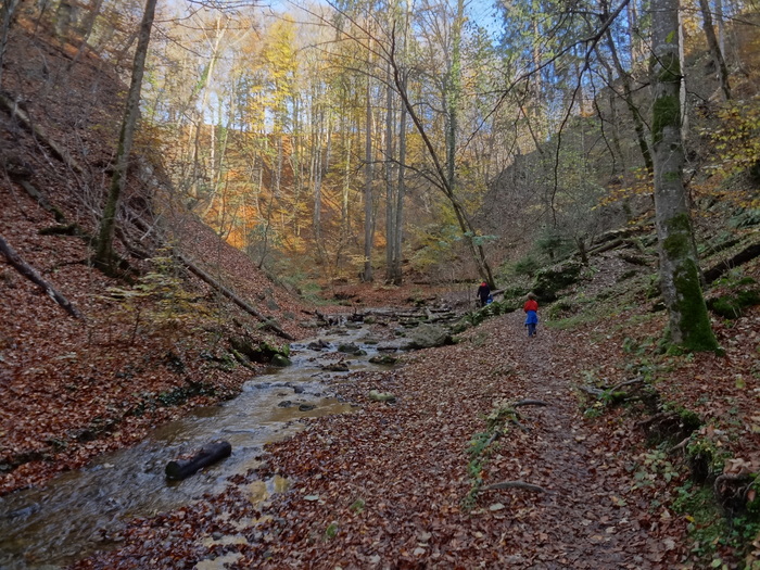 Pählerschlucht 03478.JPG