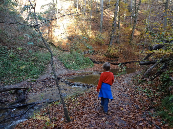 Pählerschlucht 03487.JPG