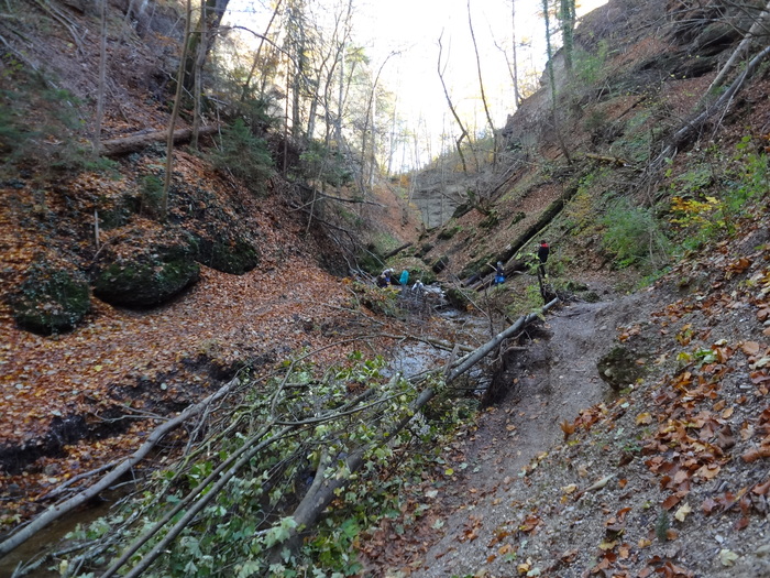 Pählerschlucht 03490.JPG