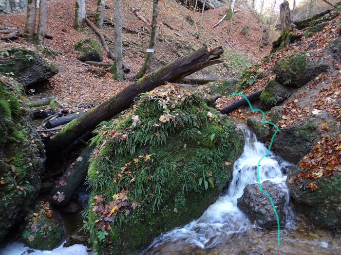 Pählerschlucht 03513.JPG