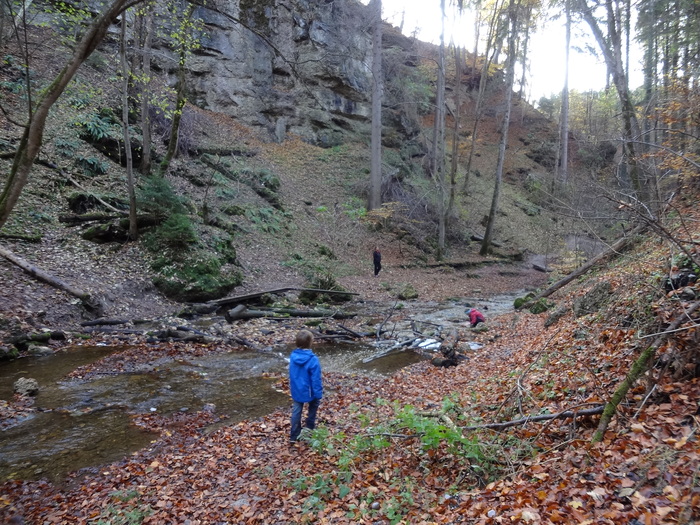 Pählerschlucht 03568.JPG