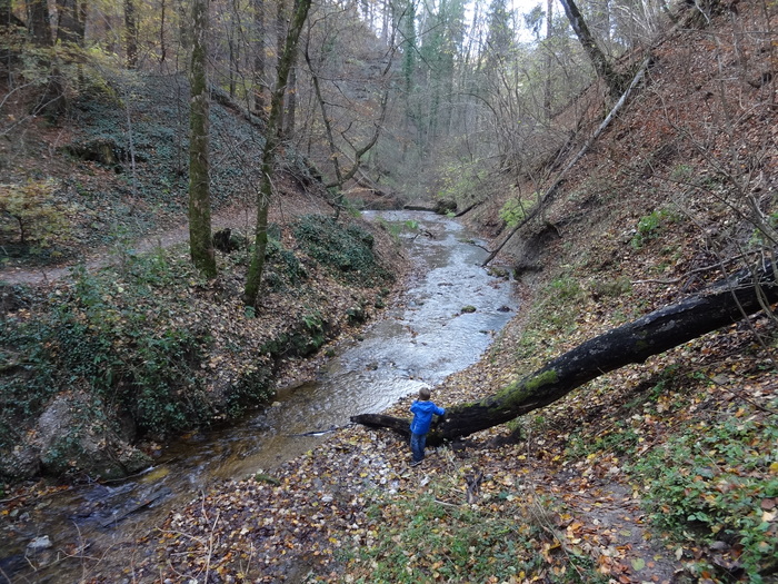 Pählerschlucht 03574.JPG