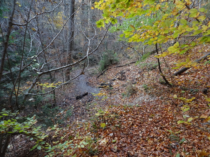 Pählerschlucht 03582.JPG