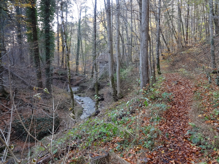 Pählerschlucht 03589.JPG