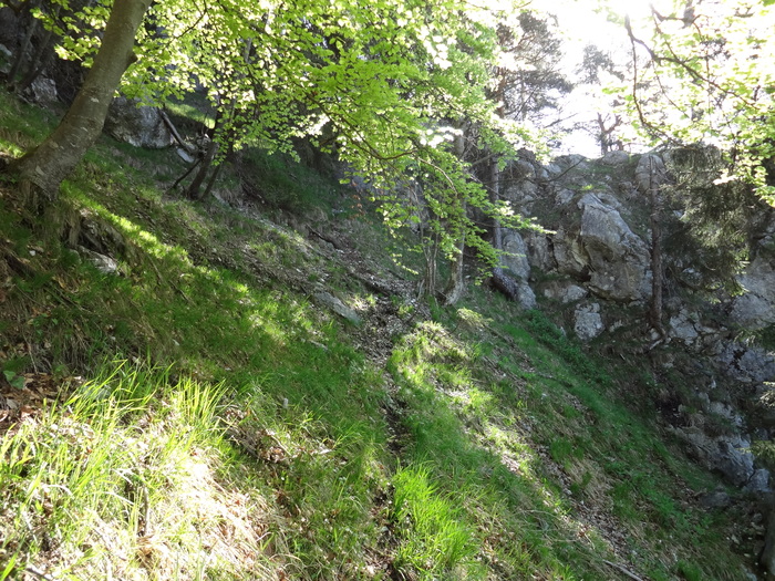 Pendling 02063.JPG