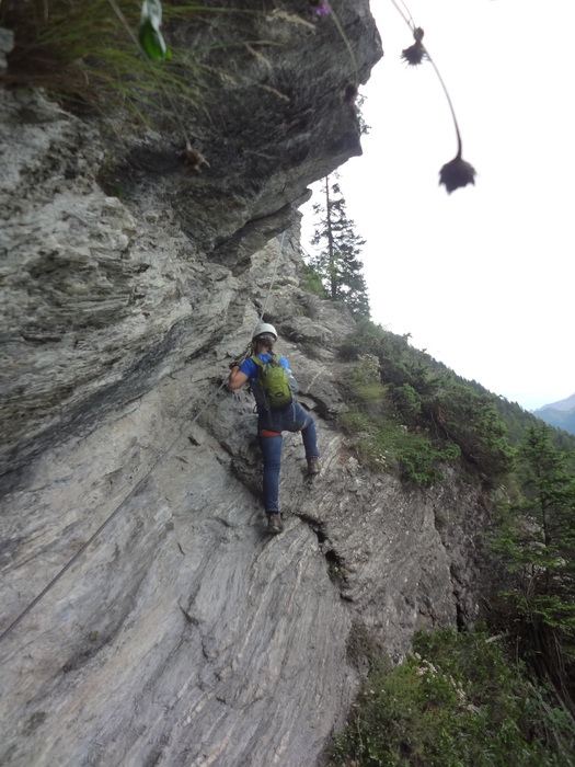 Peter-Kofler-Klettersteig 10355.JPG