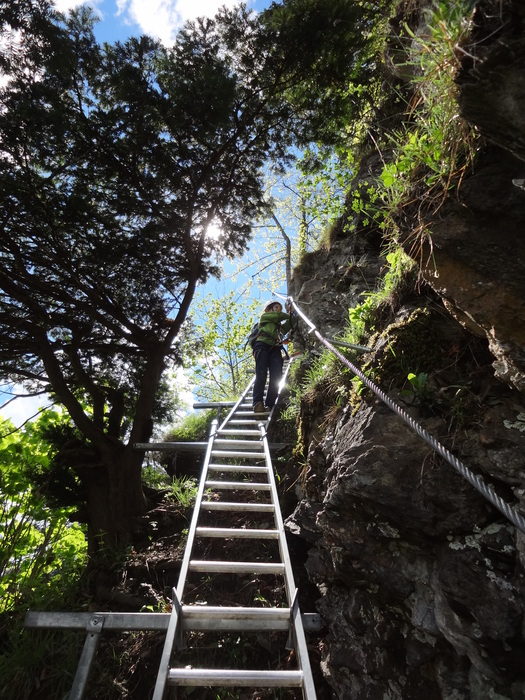 Pfeilspitzwand-Klettersteig 01670.JPG