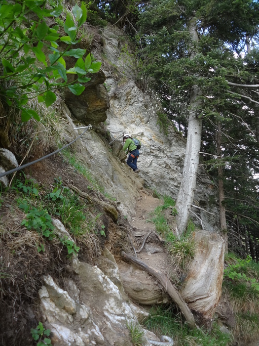 Pfeilspitzwand-Klettersteig 02040.JPG