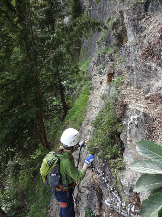 Pfeilspitzwand-Klettersteig 02138.JPG