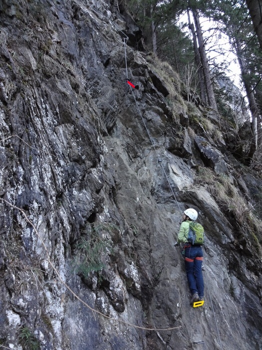 Pfeilspitzwand-Klettersteig 06597.JPG