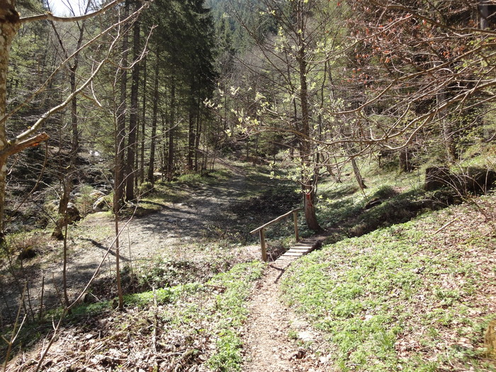 Reichenbachklamm 01133.JPG