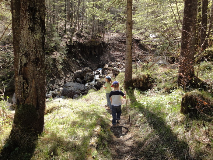 Reichenbachklamm 01135.JPG