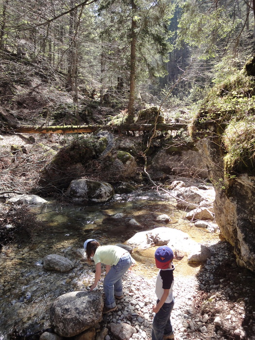 Reichenbachklamm 01174.JPG