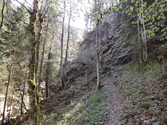 Reichenbachklamm 01202.JPG