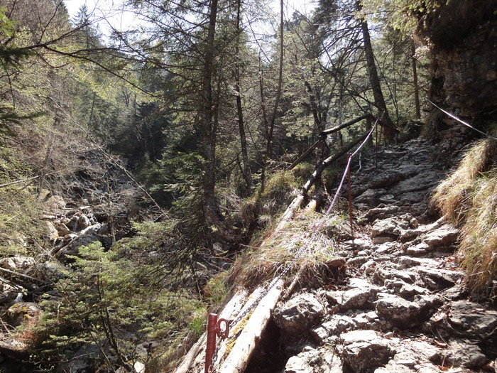 Reichenbachklamm 01212.JPG