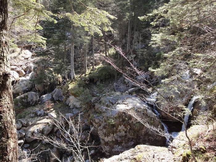 Reichenbachklamm 01221.JPG