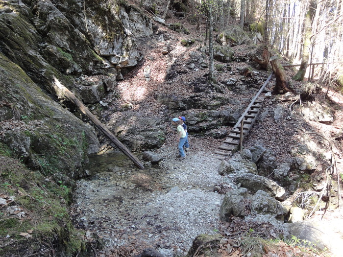 Reichenbachklamm 01242.JPG