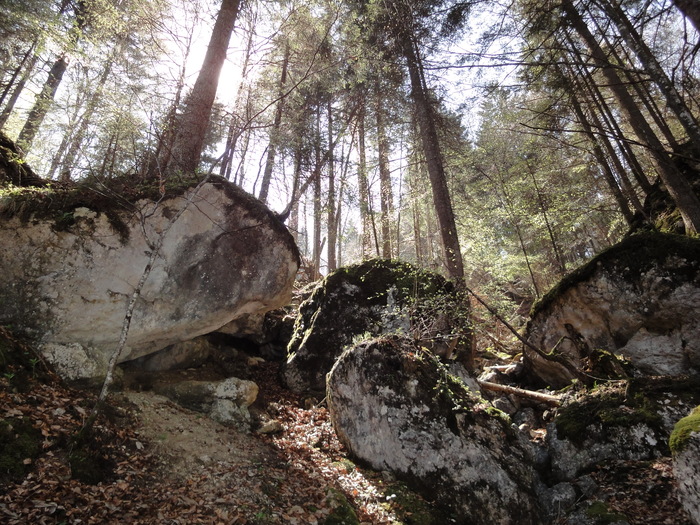 Reichenbachklamm 01244.JPG