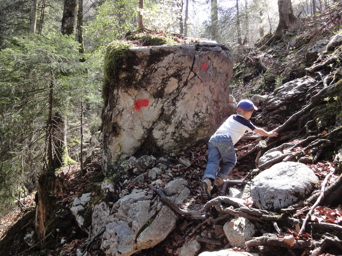 Reichenbachklamm 01253.JPG