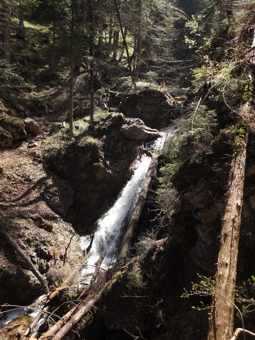 Reichenbachklamm 01260.JPG