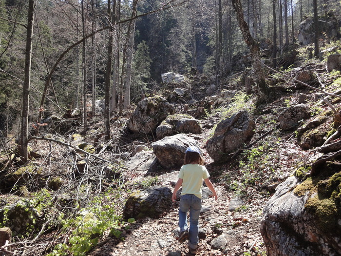 Reichenbachklamm 01270.JPG