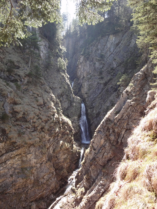 Reichenbachklamm 01292.JPG