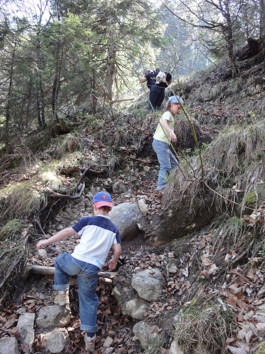 Reichenbachklamm 01306.JPG