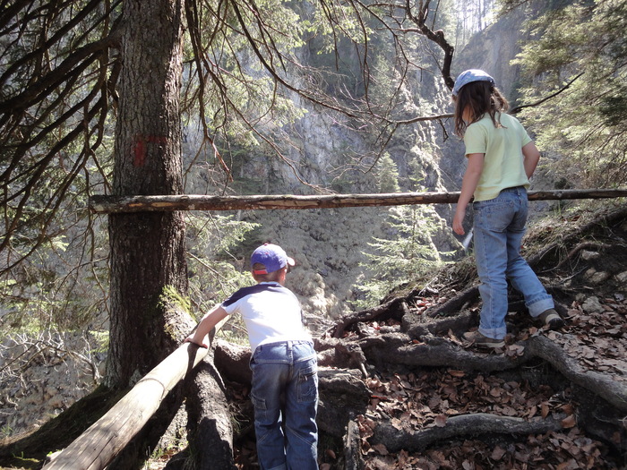 Reichenbachklamm 01308.JPG