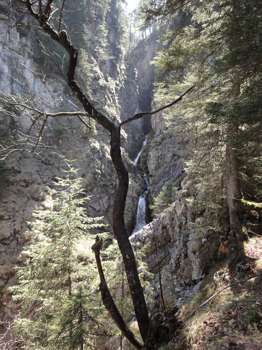 Reichenbachklamm 01309.JPG