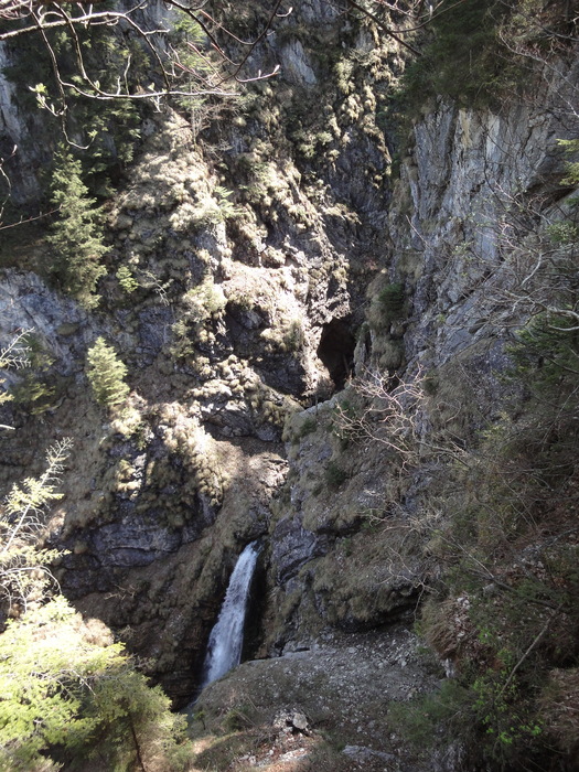 Reichenbachklamm 01323.JPG