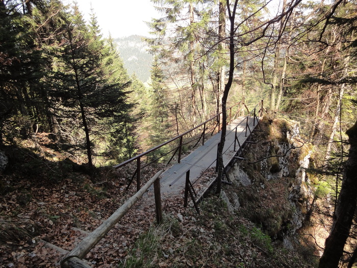 Reichenbachklamm 01330.JPG