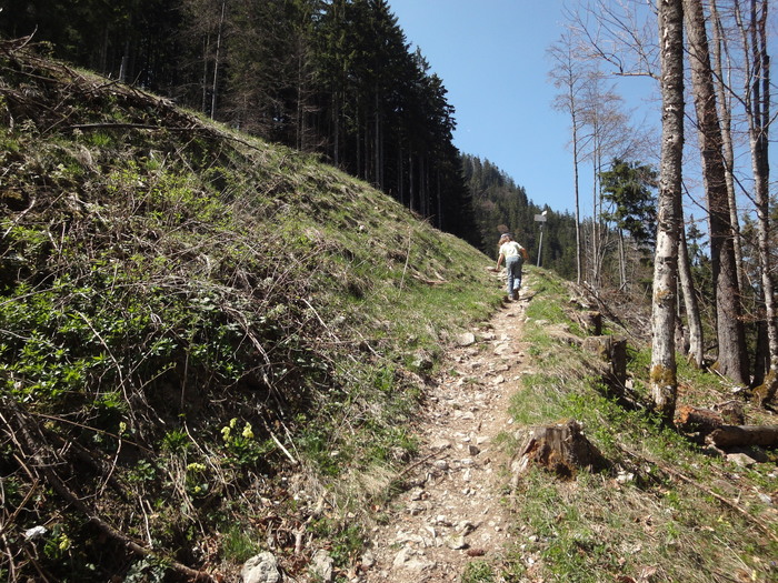 Reichenbachklamm 01355.JPG