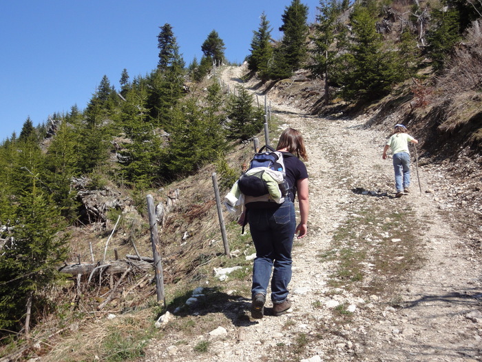 Reichenbachklamm 01404.JPG