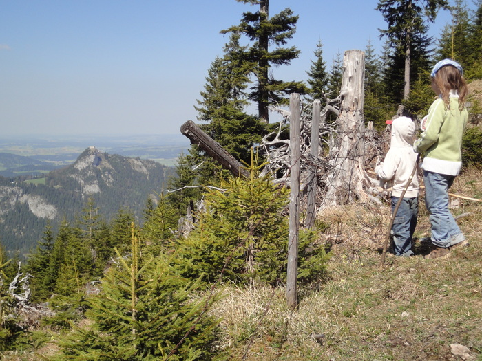 Reichenbachklamm 01425.JPG