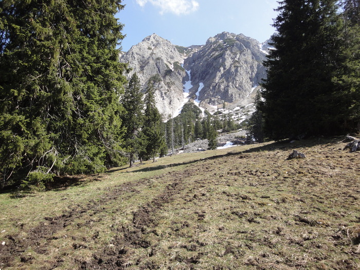 Reichenbachklamm 01429.JPG