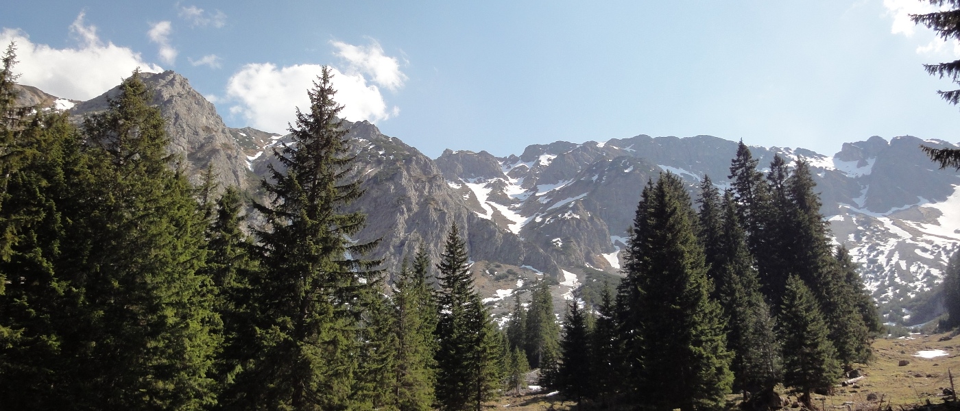 Reichenbachklamm 01453.JPG