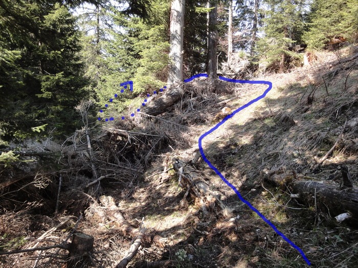 Reichenbachklamm 01515.JPG