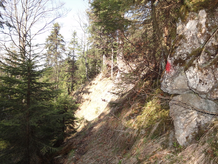 Reichenbachklamm 01521.JPG