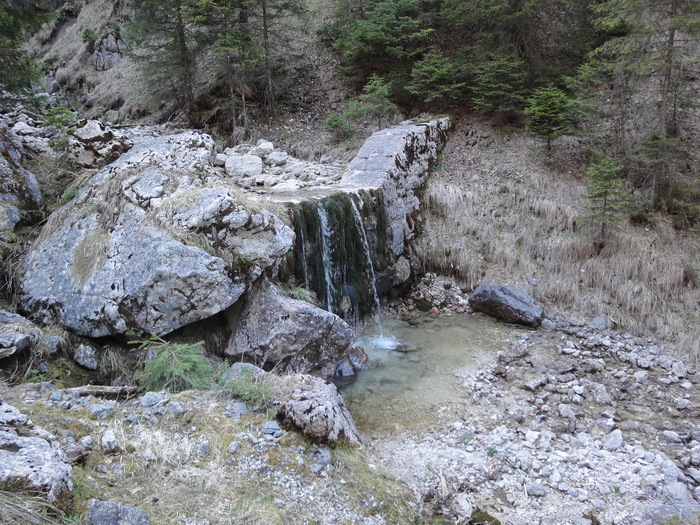 Reichenbachklamm 01548.JPG