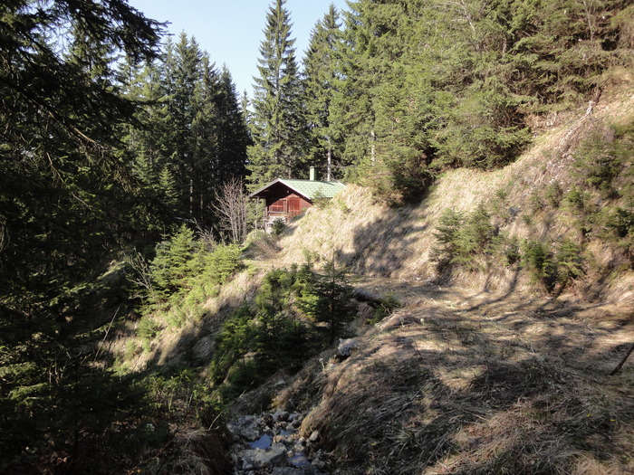 Reichenbachklamm 01568.JPG