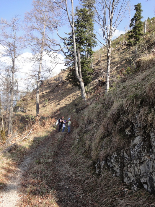 Reichenbachklamm 01602.JPG