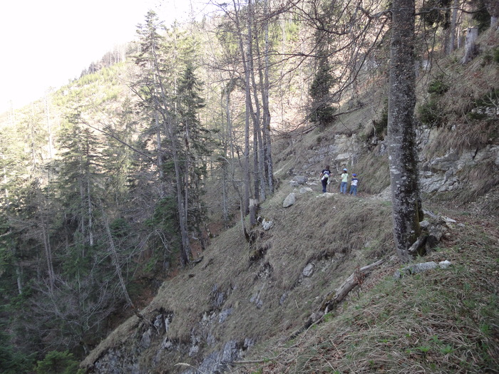 Reichenbachklamm 01626.JPG