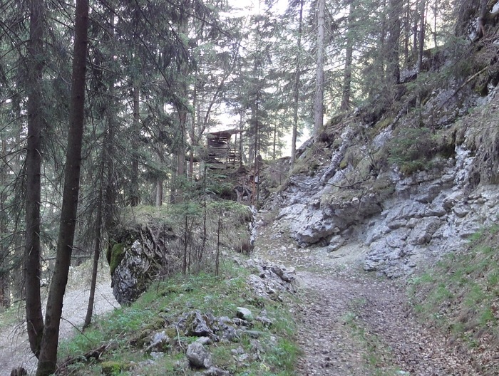 Reichenbachklamm 01685.JPG