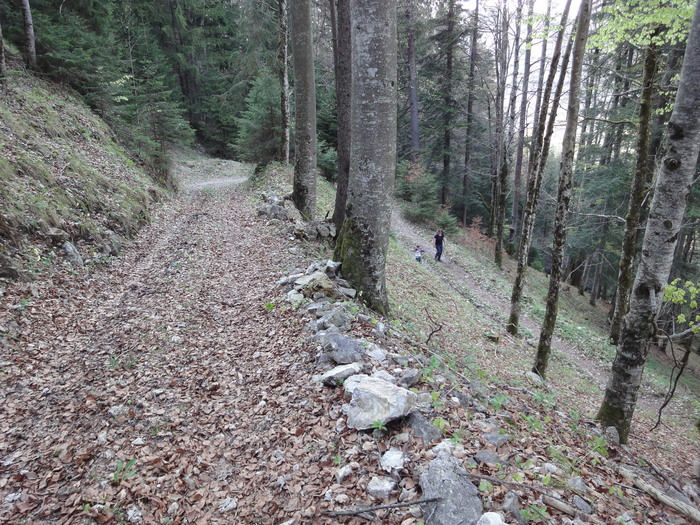 Reichenbachklamm 01752.JPG