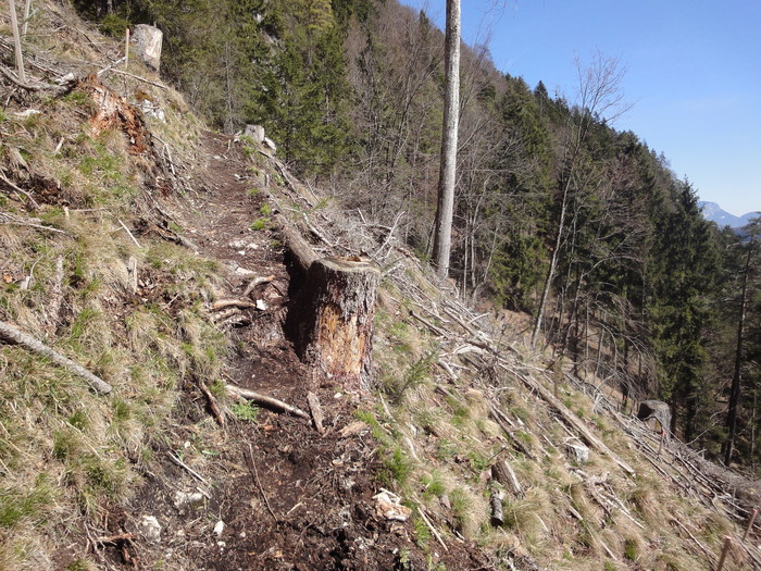 Klettersteig 01475.JPG