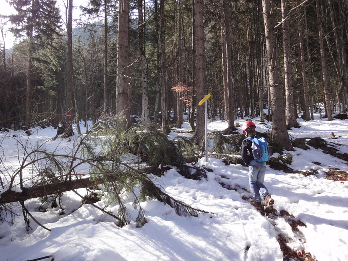 Klettersteig 02284.JPG