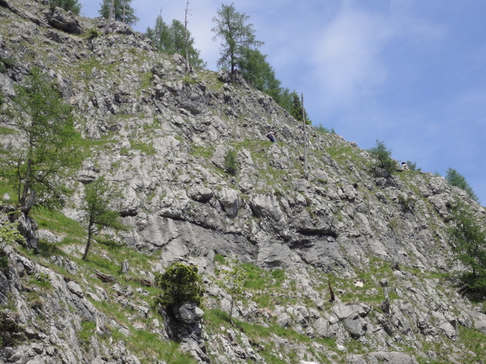 Rinnkendlsteig 06620.JPG