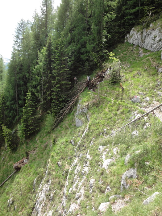 Rinnkendlsteig 06892.JPG