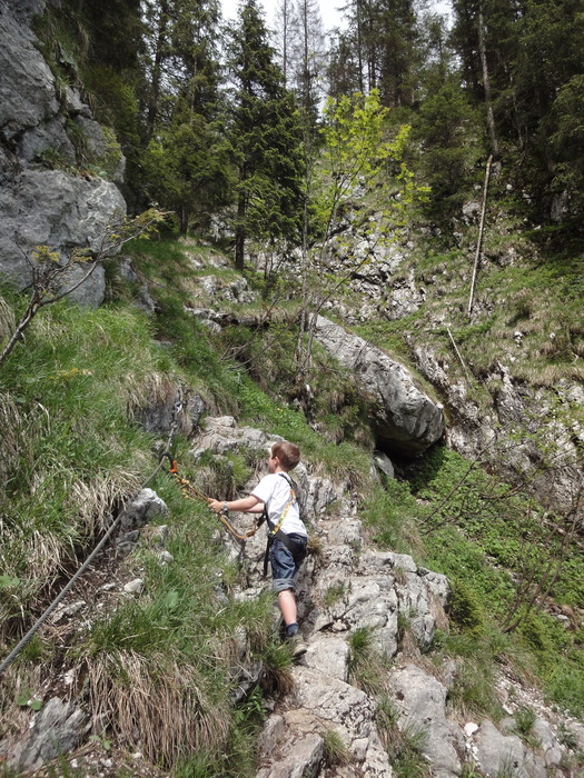 Rinnkendlsteig 07061.JPG