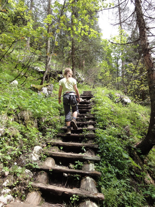 Rinnkendlsteig 07082.JPG